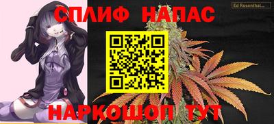 гидра Славянск-на-Кубани