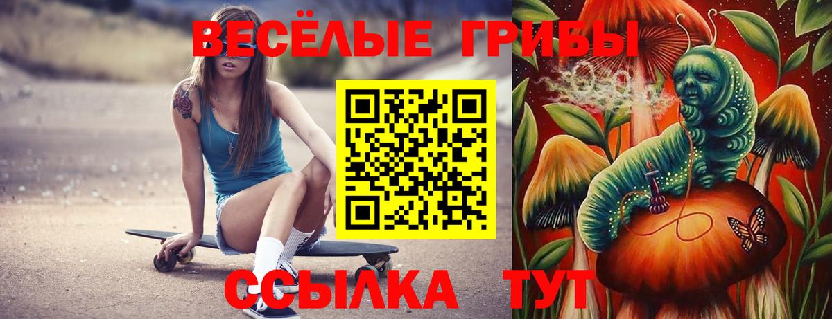 Псилоцибиновые грибы Psilocybine cubensis  Вход с VPN  Южноуральск 